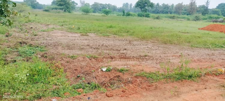 25 cents farm lands for sales