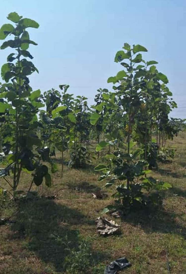 Single Property Image