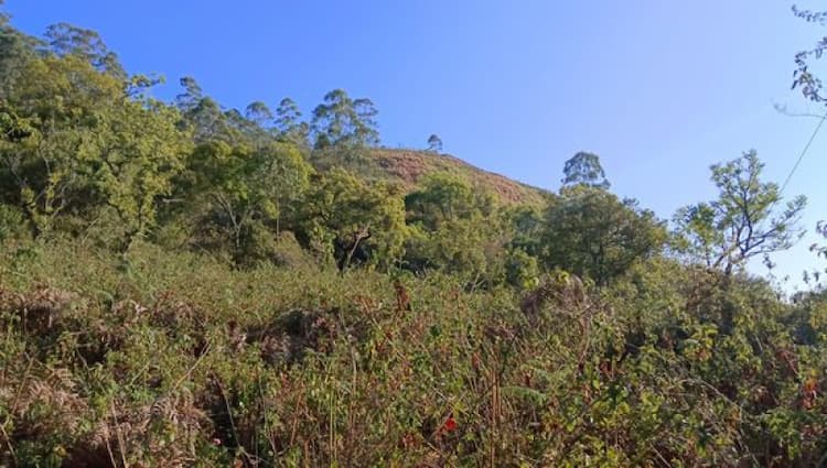 Low Budget Land for Sale