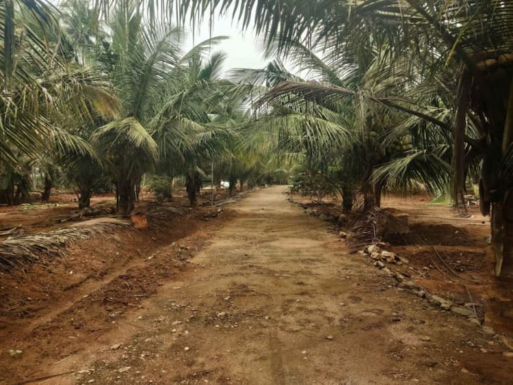 3 Acre Road Base Agri Land for Sale