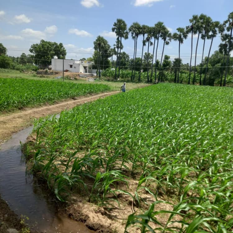 Single Property Image