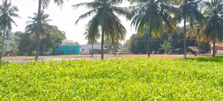 Single Property Image