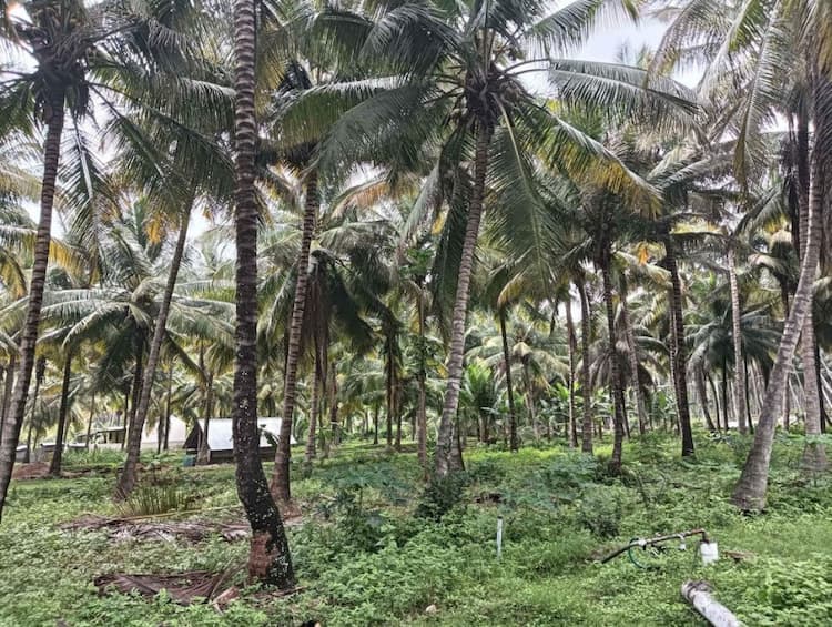 Single Property Image