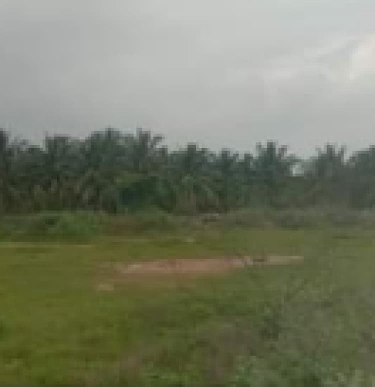 43 cent land for sales