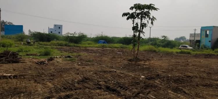 Land for Sale