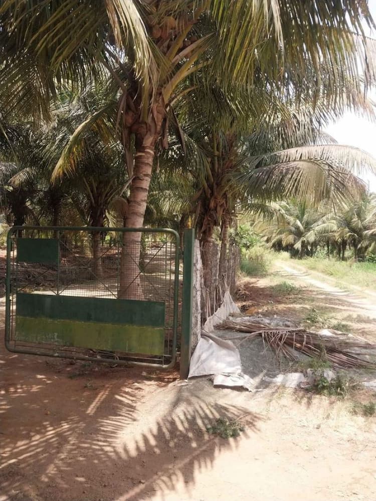 Single Property Image