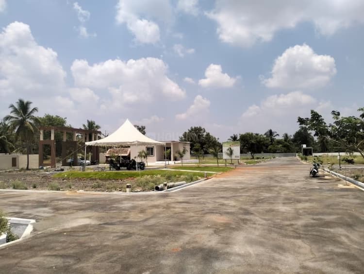 Residential Plot