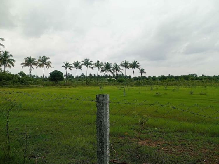 Land for sales