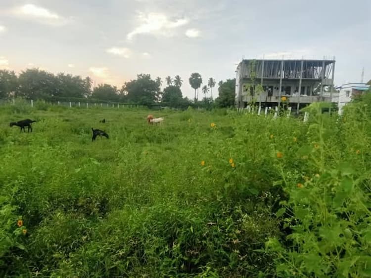 Single Property Image