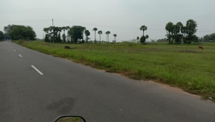5.50 acres punjai land for sale