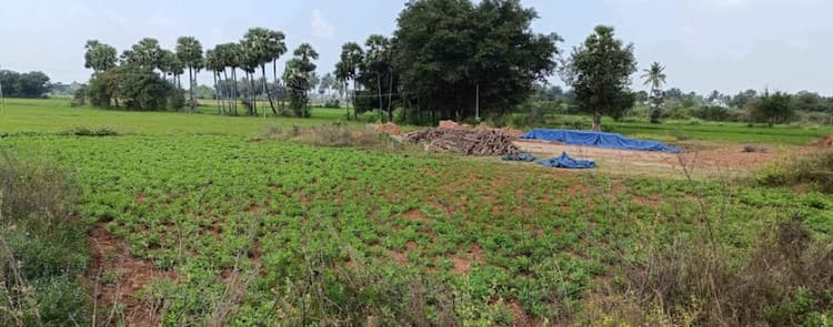 1.56 Acre Land for Sale