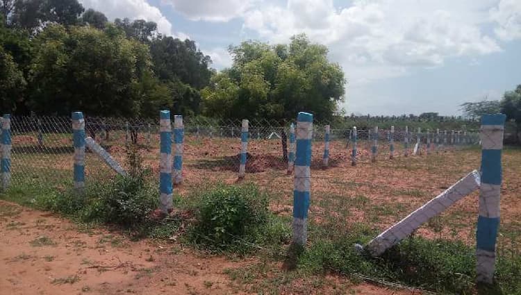 Plot sale