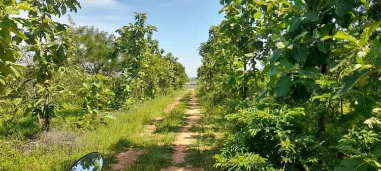 Single Property Image