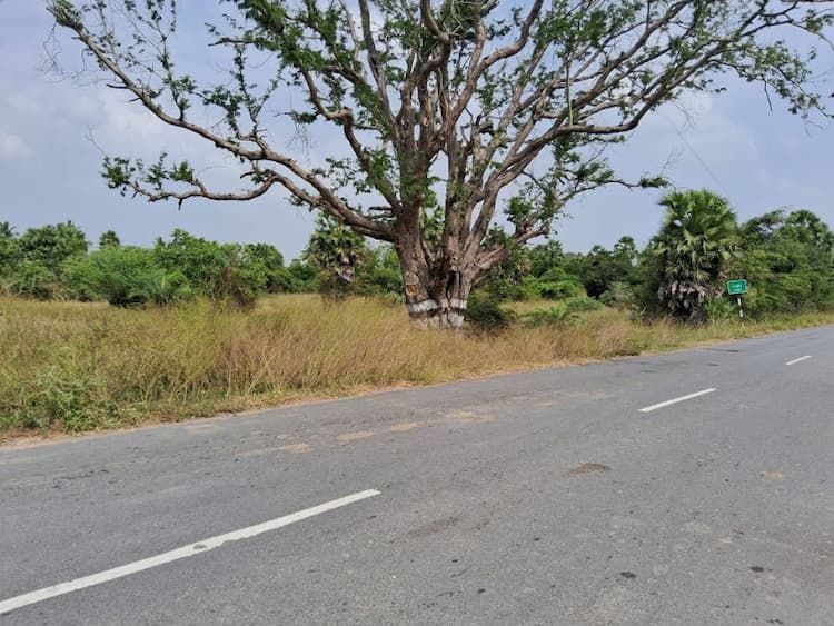 Commercial property For sale