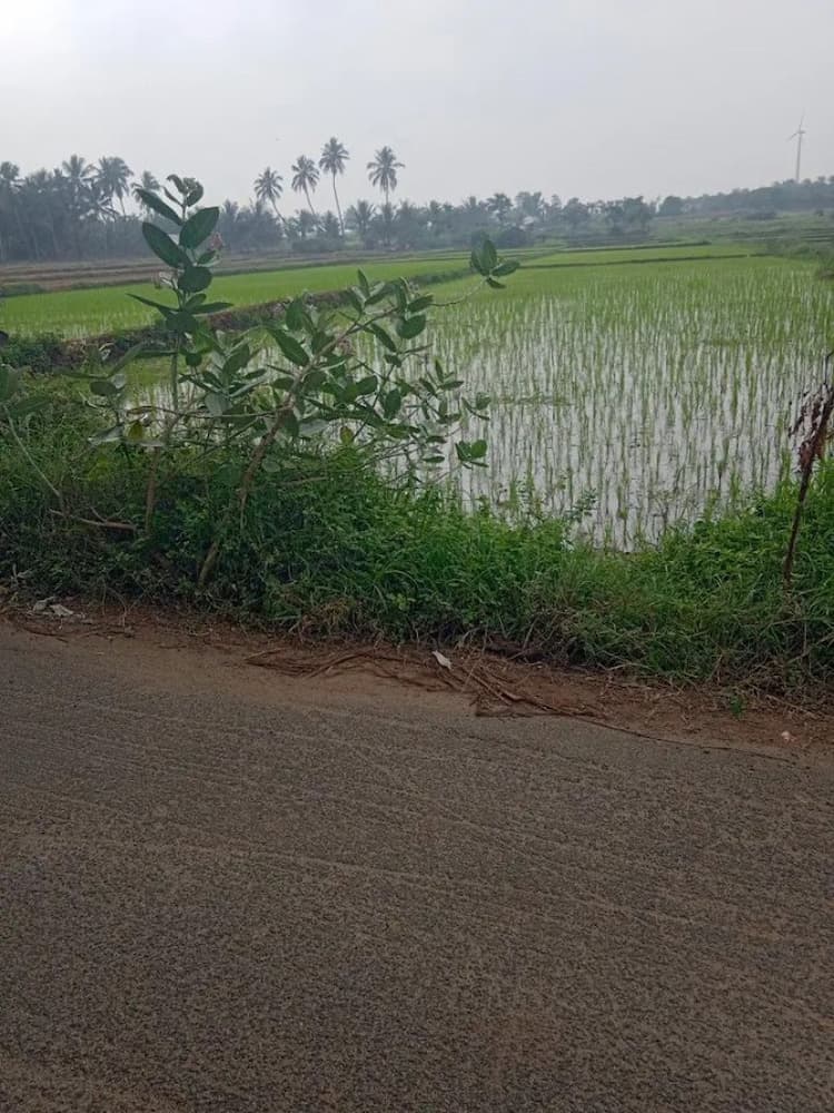 Single Property Image