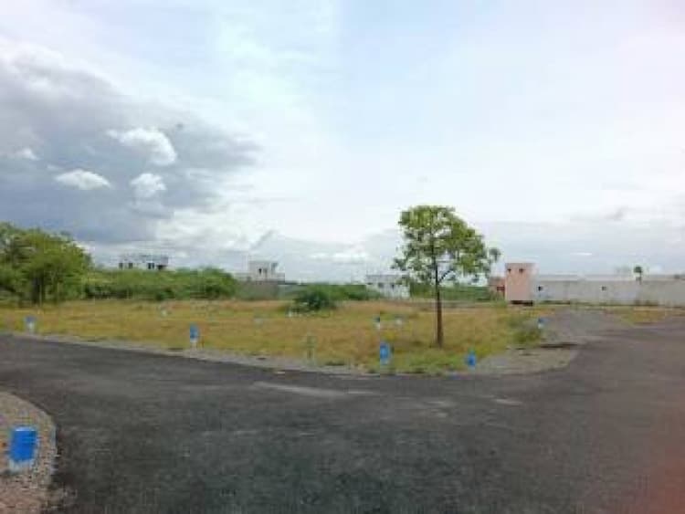 Plot sale