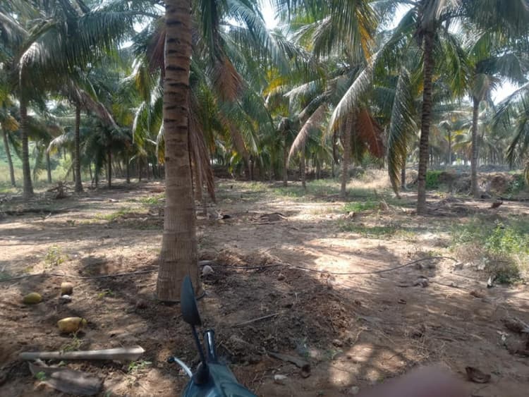 farm land for sale