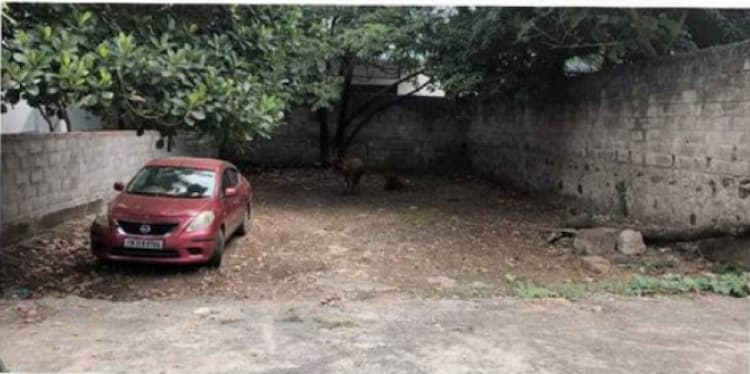 Land for sales