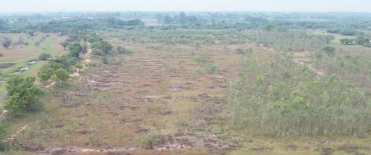 Land for sales