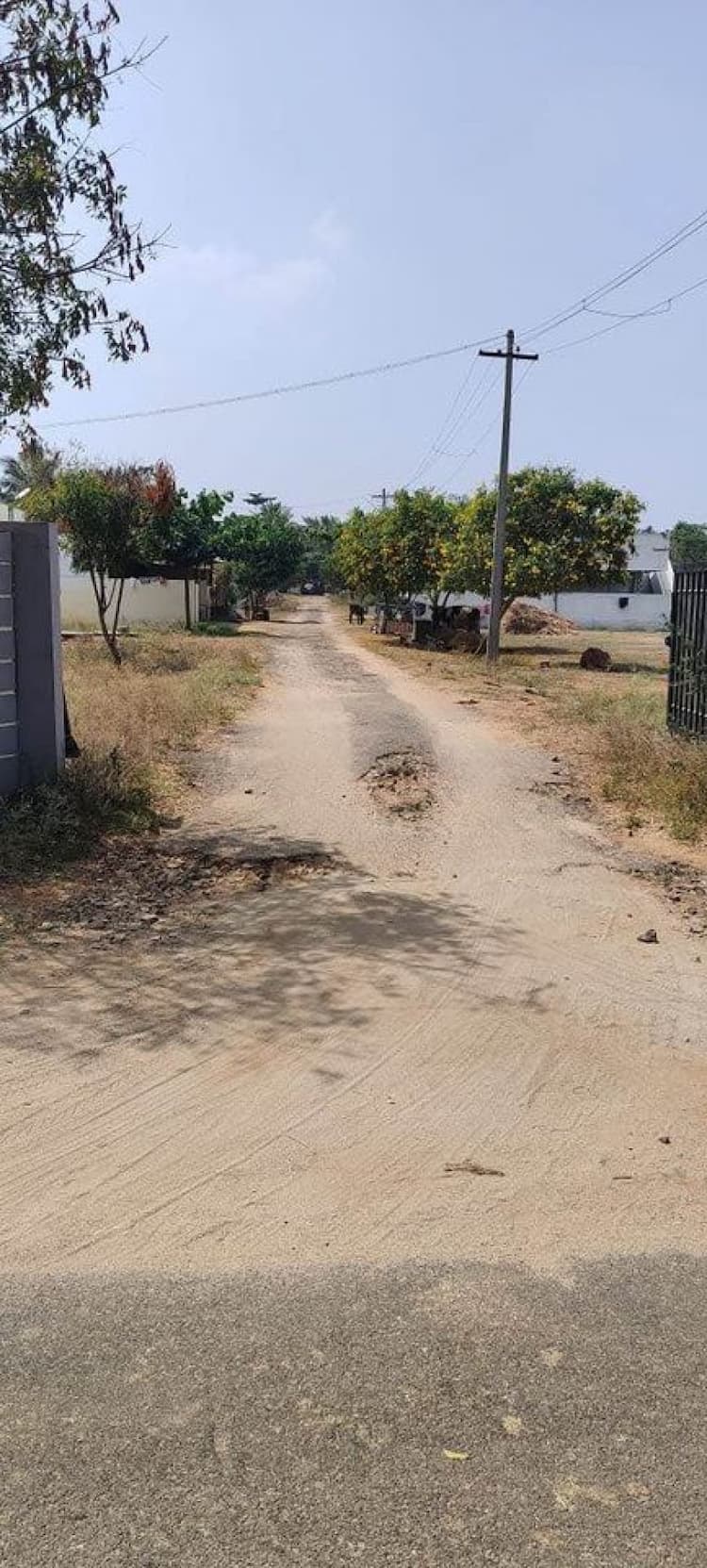 Single Property Image