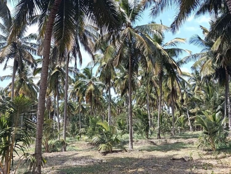 Single Property Image