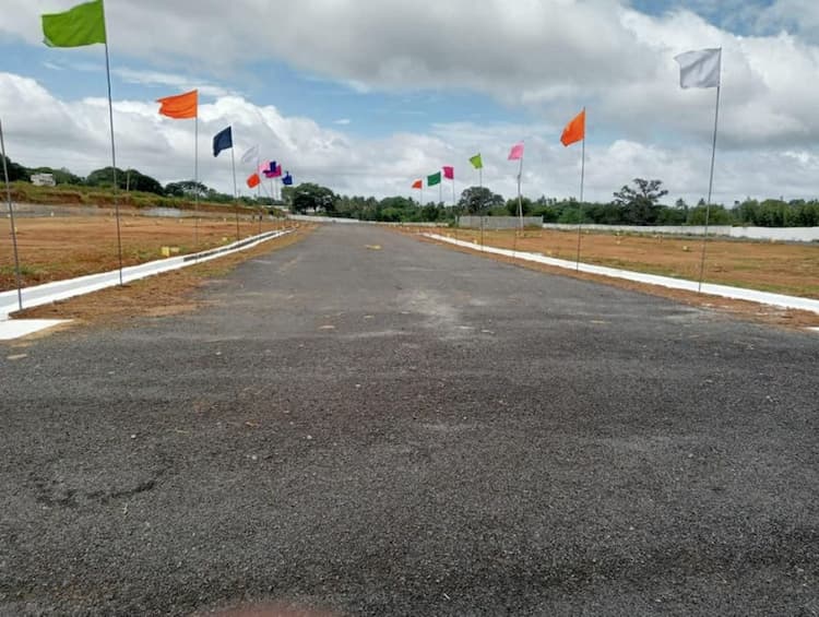 Plot sale