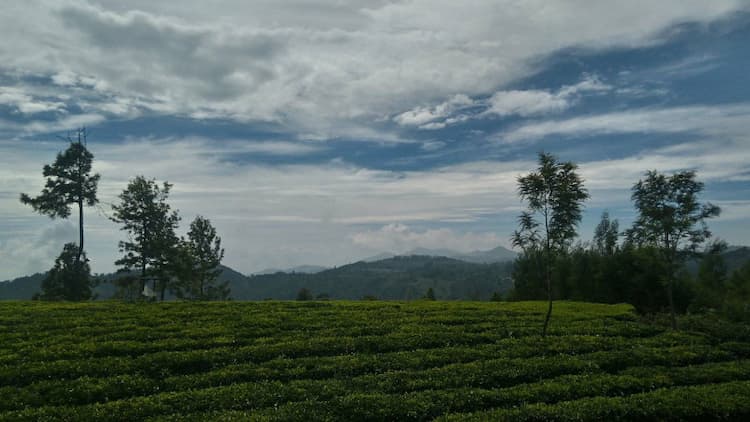 Single Property Image