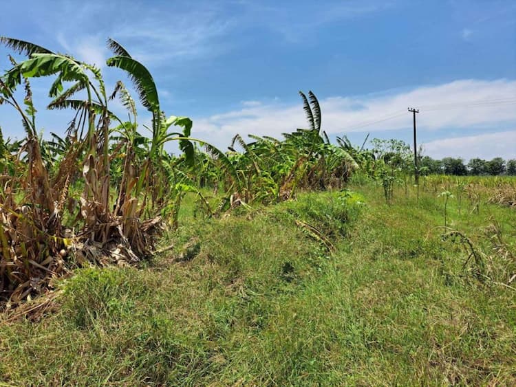 pannainilam for sale