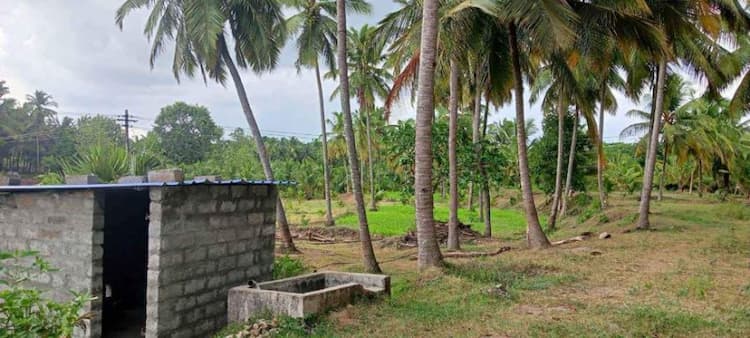 Coconut Thottam For Sale