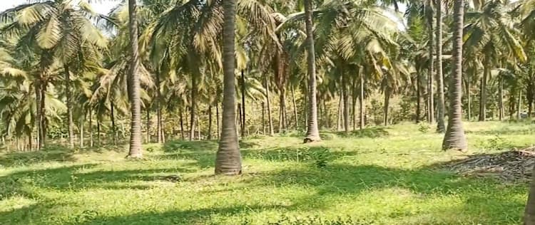 37 Acre Farm for Sale