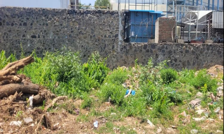 Land for sales