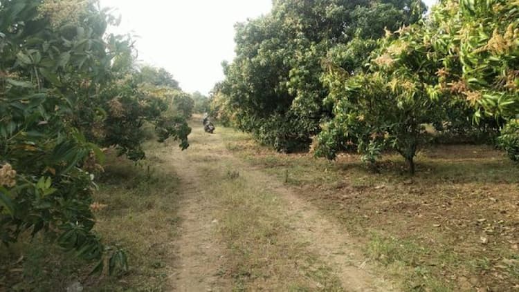 Farm Land For Sale