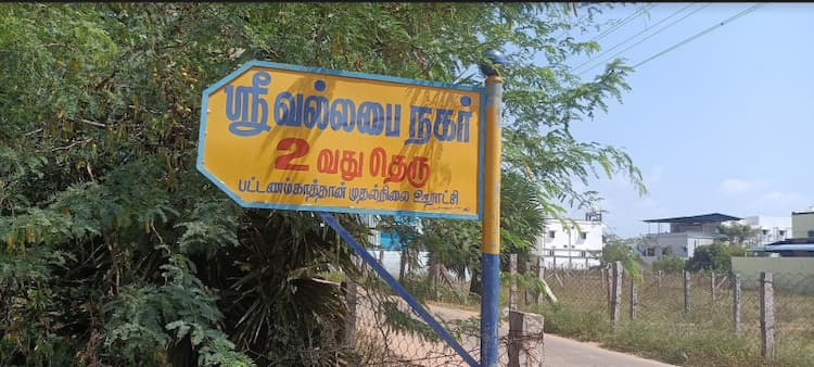  4.5 cents plot for sales