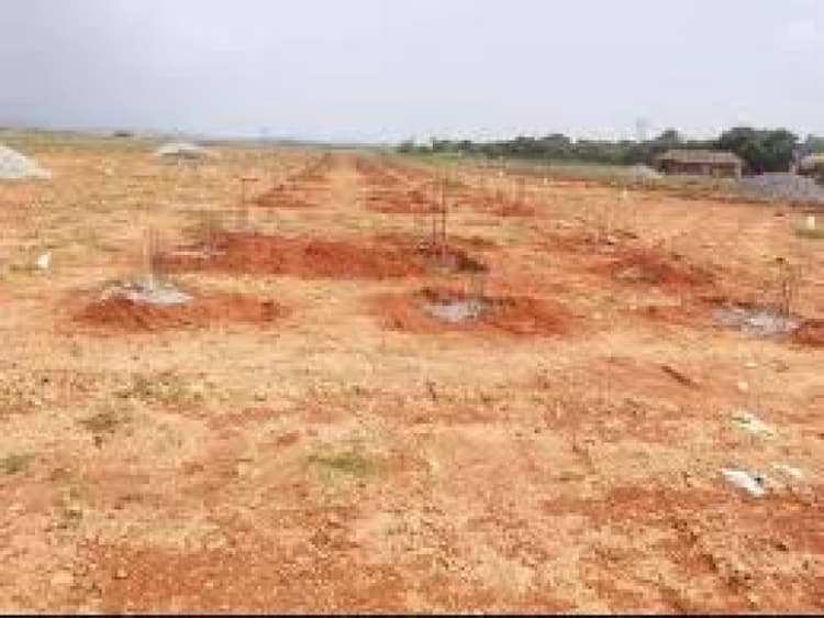 Plot sale