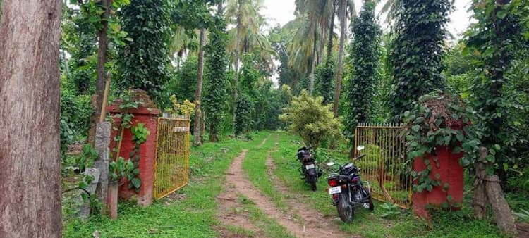 coconut farm land Jathika Thottam For Sale