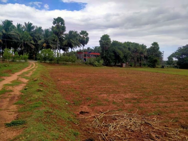 Land for sale