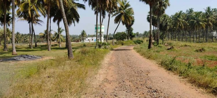 coconut farm land for sale