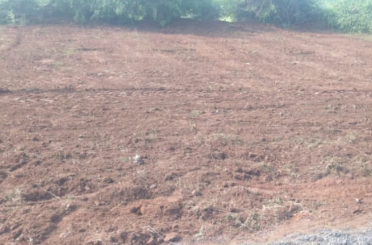 4.75 cent plot for sale