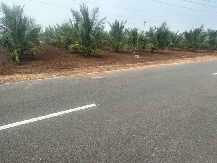 2.80 Acre Land for Sale