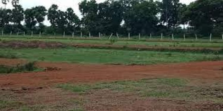 Plot sale
