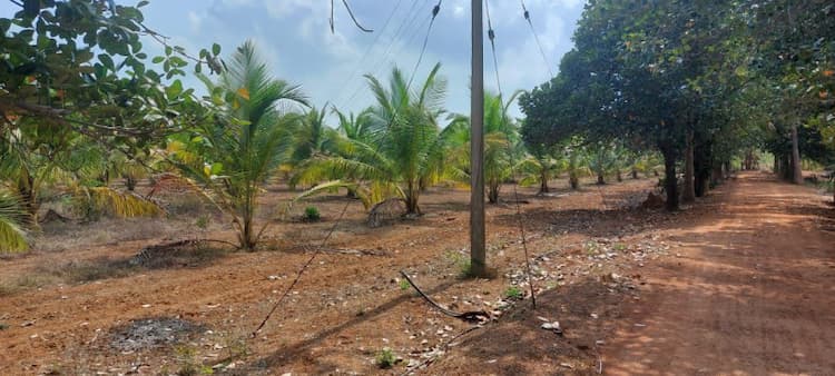 Single Property Image