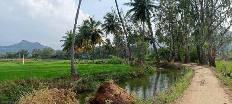 Single Property Image