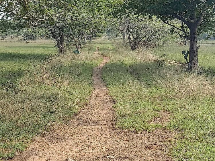 Single Property Image