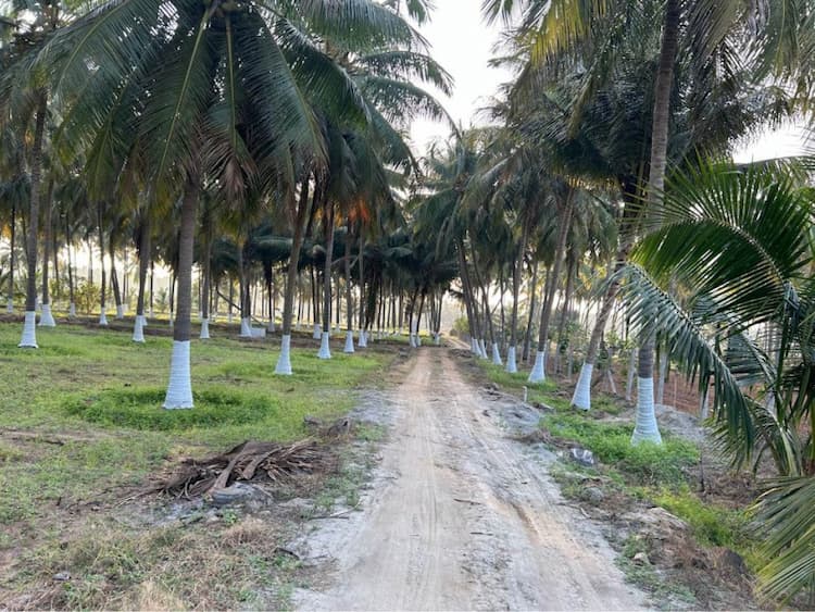 11.20 Acre land for Sale