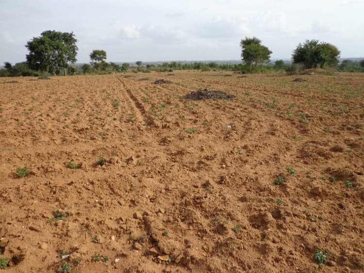 Plot for sale