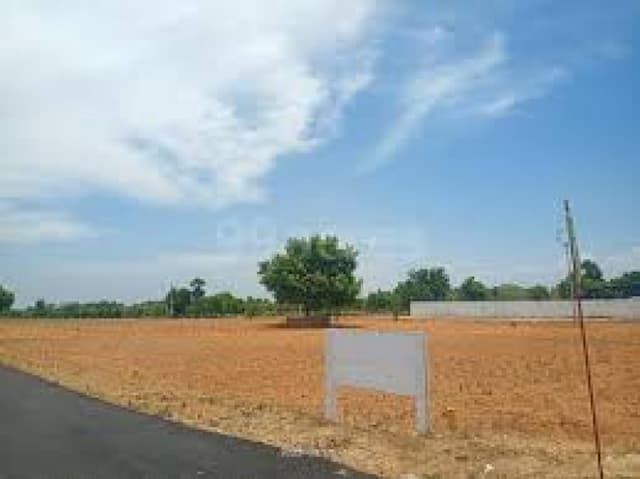 Trending Projects Image