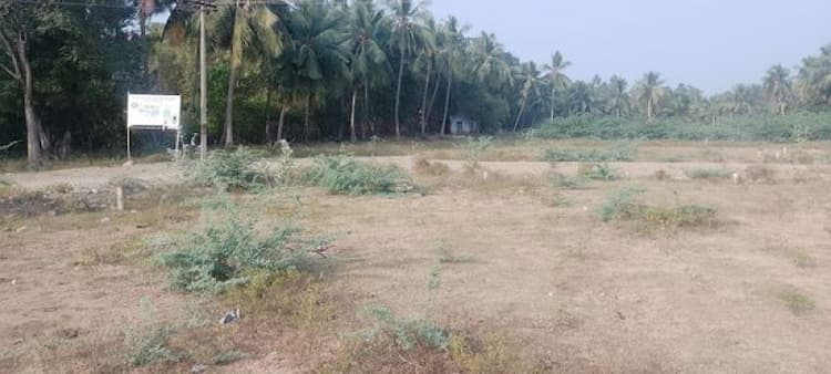 Plot sale