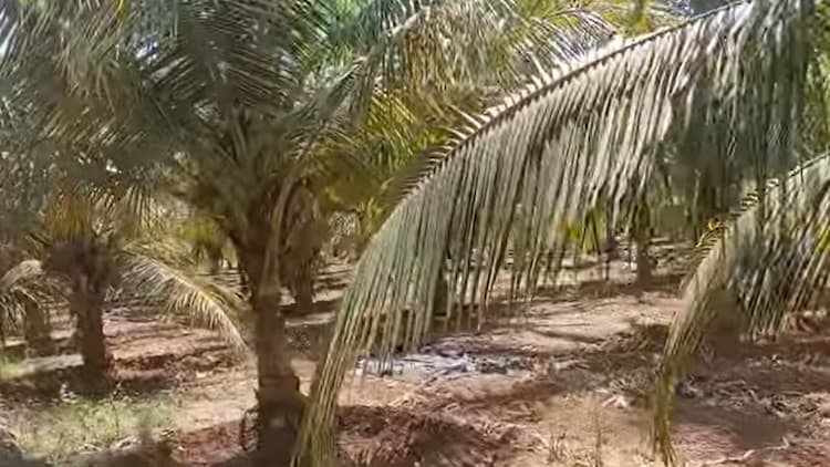 4 Acre Land for Sale