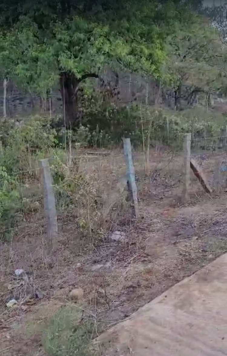 Land for sale