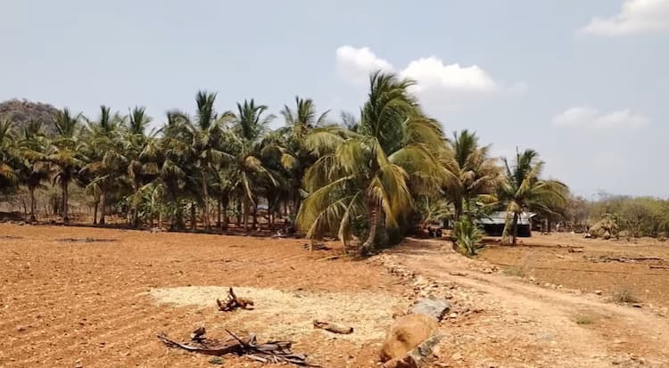 Low Budget Land for Sale